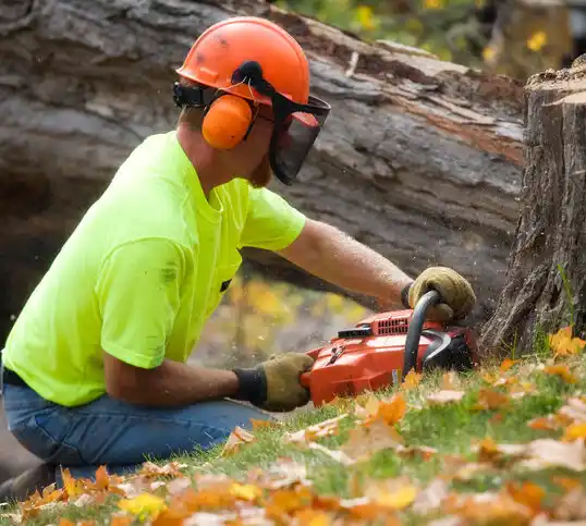 tree services Goldonna